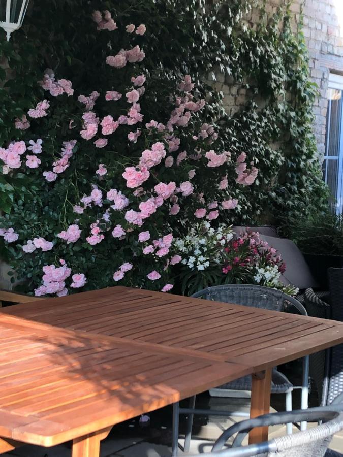 Ferienwohnung In Werder Havel Innenstadt Dış mekan fotoğraf